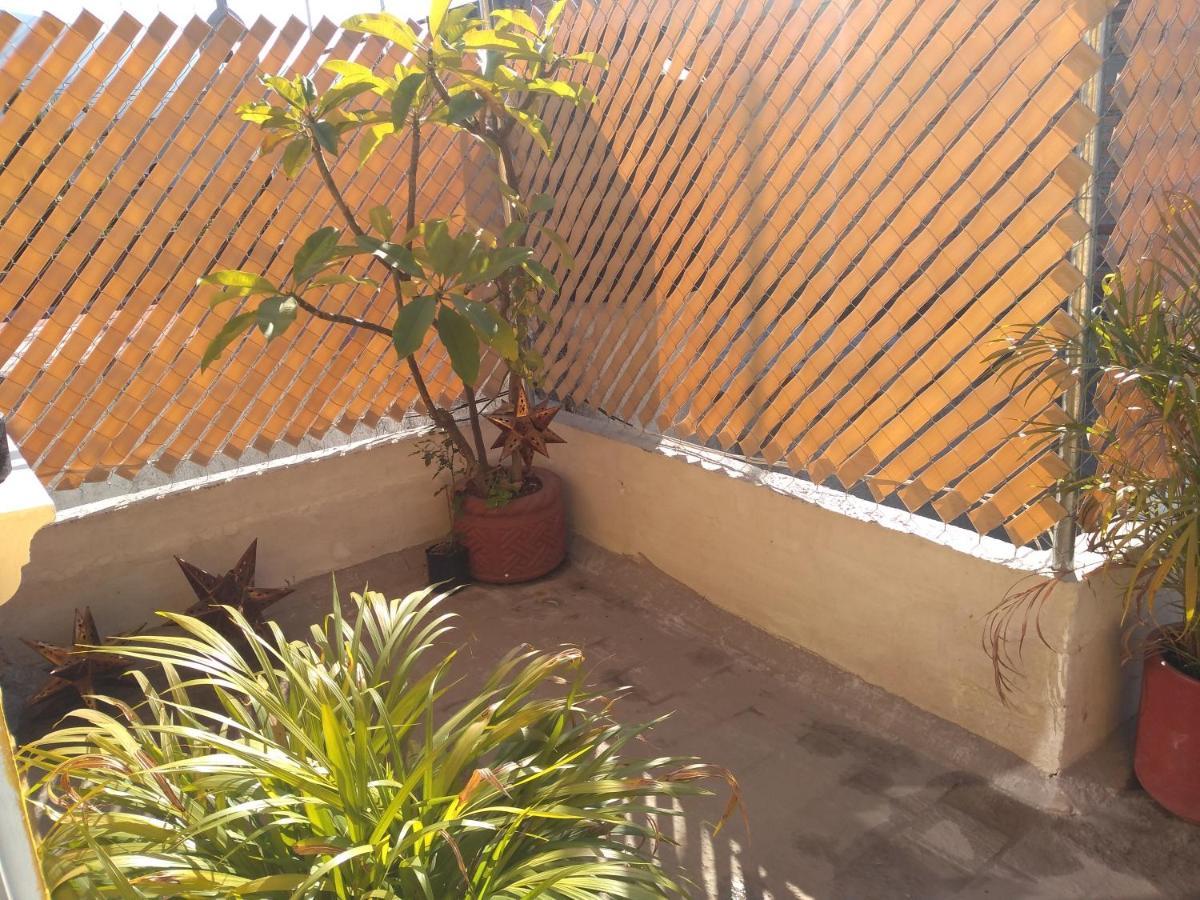 Casa Alebrijes Villa เตกีลา ภายนอก รูปภาพ